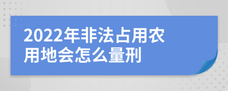 2022年非法占用农用地会怎么量刑