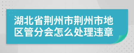 湖北省荆州市荆州市地区管分会怎么处理违章