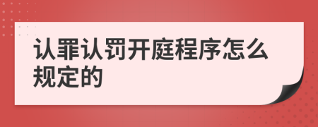 认罪认罚开庭程序怎么规定的