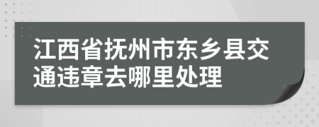 江西省抚州市东乡县交通违章去哪里处理