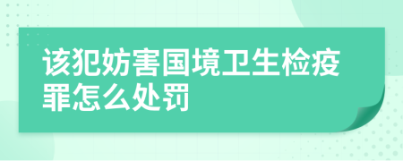 该犯妨害国境卫生检疫罪怎么处罚