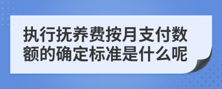 执行抚养费按月支付数额的确定标准是什么呢