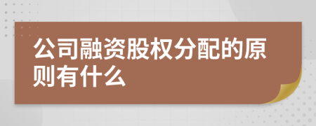 公司融资股权分配的原则有什么