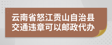 云南省怒江贡山自治县交通违章可以邮政代办