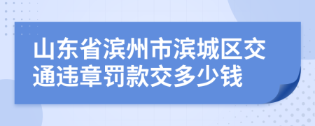 山东省滨州市滨城区交通违章罚款交多少钱