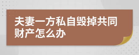 夫妻一方私自毁掉共同财产怎么办