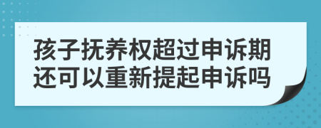 孩子抚养权超过申诉期还可以重新提起申诉吗