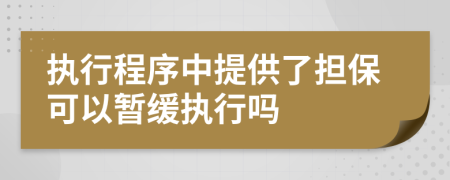 执行程序中提供了担保可以暂缓执行吗