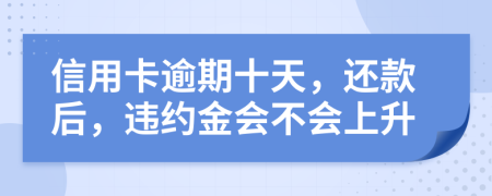 信用卡逾期十天，还款后，违约金会不会上升