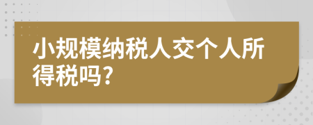 小规模纳税人交个人所得税吗?
