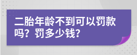 二胎年龄不到可以罚款吗？罚多少钱？