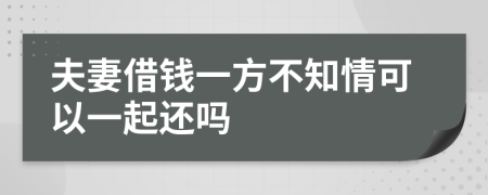 夫妻借钱一方不知情可以一起还吗