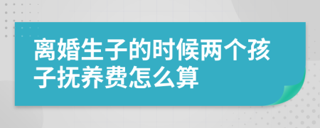 离婚生子的时候两个孩子抚养费怎么算