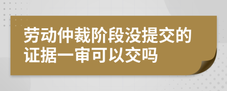 劳动仲裁阶段没提交的证据一审可以交吗