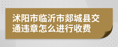 沭阳市临沂市郯城县交通违章怎么进行收费