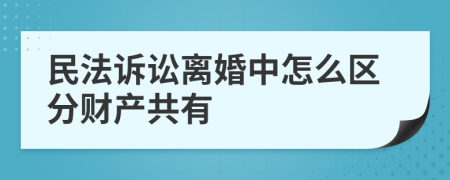 民法诉讼离婚中怎么区分财产共有