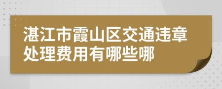 湛江市霞山区交通违章处理费用有哪些哪