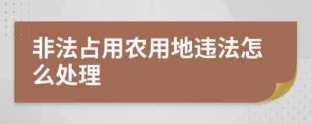 非法占用农用地违法怎么处理