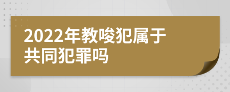 2022年教唆犯属于共同犯罪吗