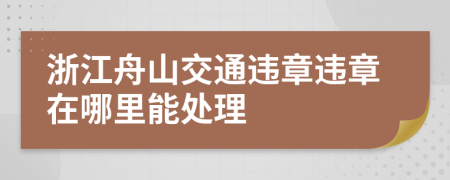 浙江舟山交通违章违章在哪里能处理
