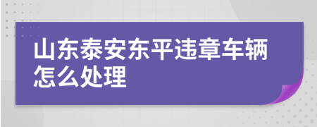 山东泰安东平违章车辆怎么处理