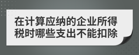 在计算应纳的企业所得税时哪些支出不能扣除