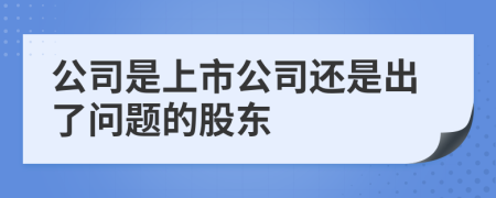 公司是上市公司还是出了问题的股东