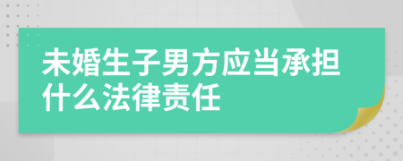 未婚生子男方应当承担什么法律责任