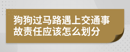 狗狗过马路遇上交通事故责任应该怎么划分