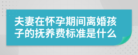 夫妻在怀孕期间离婚孩子的抚养费标准是什么