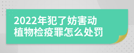 2022年犯了妨害动植物检疫罪怎么处罚