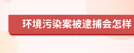 环境污染案被逮捕会怎样