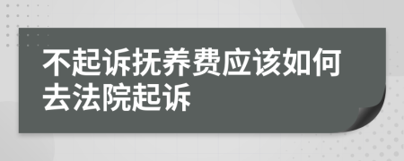 不起诉抚养费应该如何去法院起诉