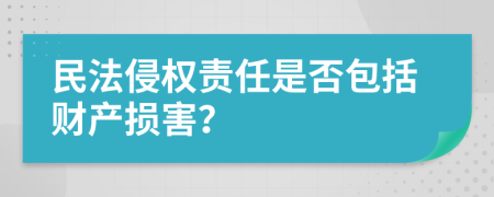 民法侵权责任是否包括财产损害？