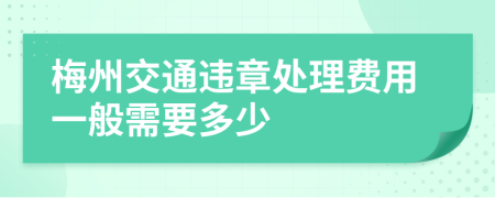 梅州交通违章处理费用一般需要多少