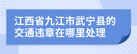 江西省九江市武宁县的交通违章在哪里处理