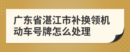 广东省湛江市补换领机动车号牌怎么处理