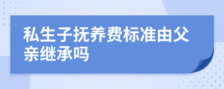 私生子抚养费标准由父亲继承吗