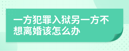 一方犯罪入狱另一方不想离婚该怎么办