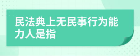 民法典上无民事行为能力人是指