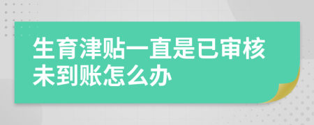 生育津贴一直是已审核未到账怎么办