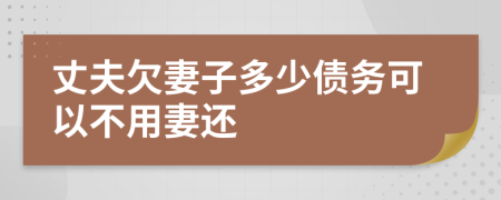 丈夫欠妻子多少债务可以不用妻还