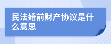 民法婚前财产协议是什么意思