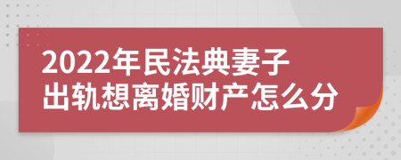 2022年民法典妻子出轨想离婚财产怎么分