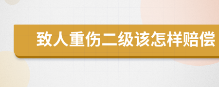 致人重伤二级该怎样赔偿