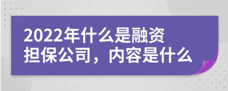 2022年什么是融资担保公司，内容是什么