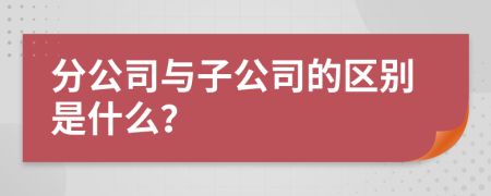 分公司与子公司的区别是什么？