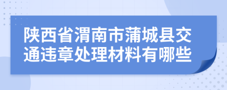 陕西省渭南市蒲城县交通违章处理材料有哪些