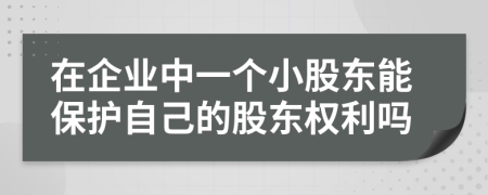 在企业中一个小股东能保护自己的股东权利吗