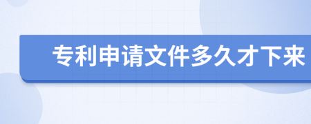 专利申请文件多久才下来